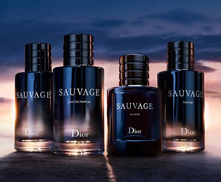 The Universe of Sauvage DIOR ID