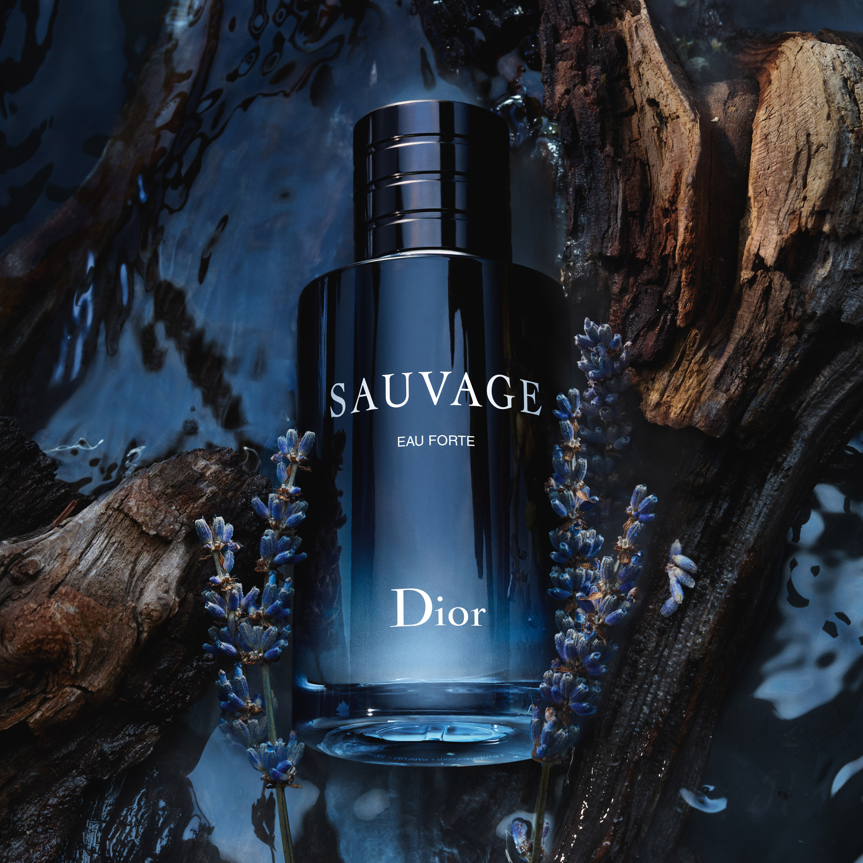 Dior SAUVAGE新作 Eau Forte 香水 DIOR Dior Sauvage Eau Forte Parfum | Saks Fifth Avenue