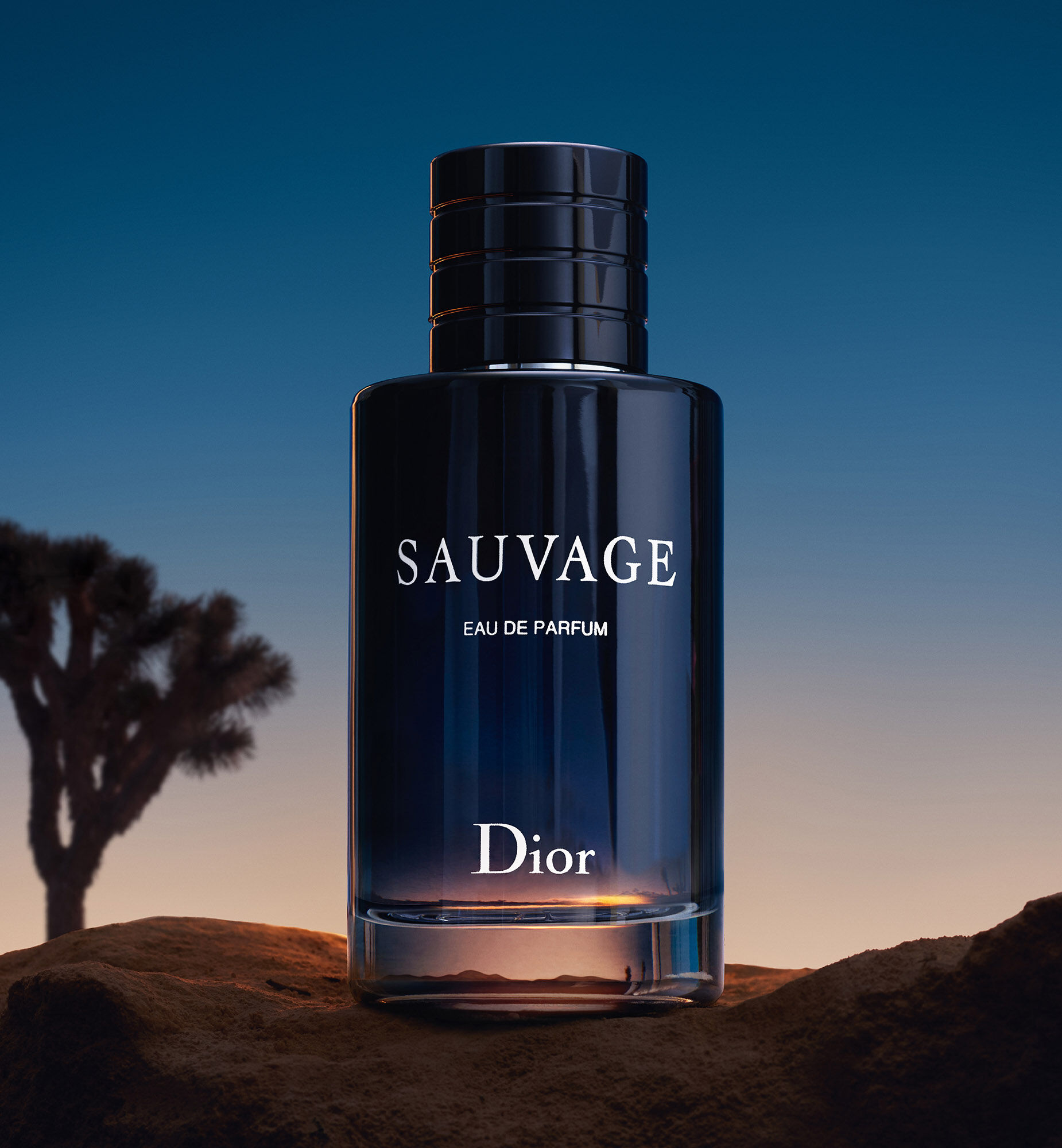 Dior sauvage 2018 clearance