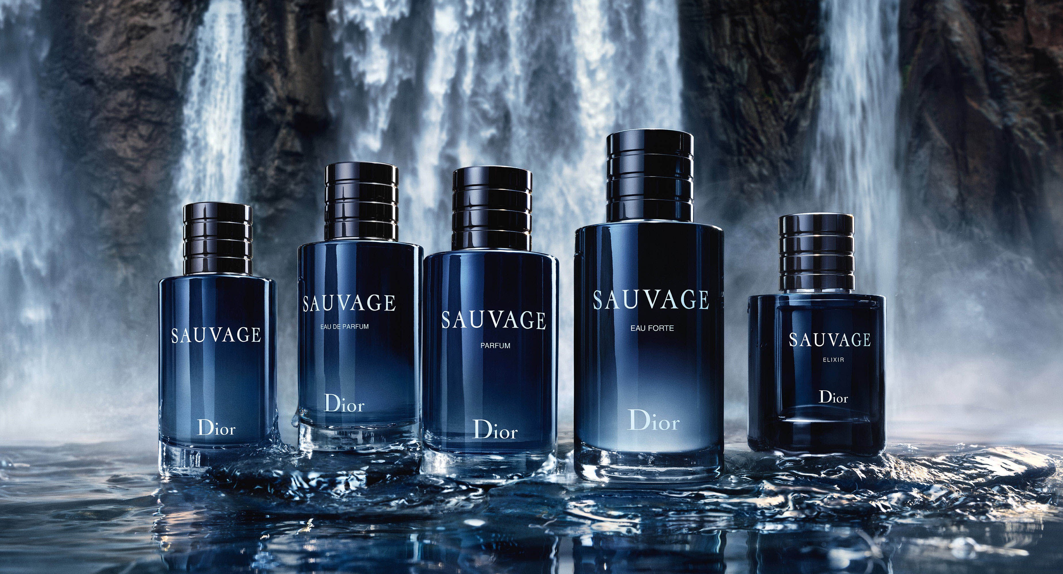 Sauvage the world of the iconic Dior fragrance for men DIOR ID
