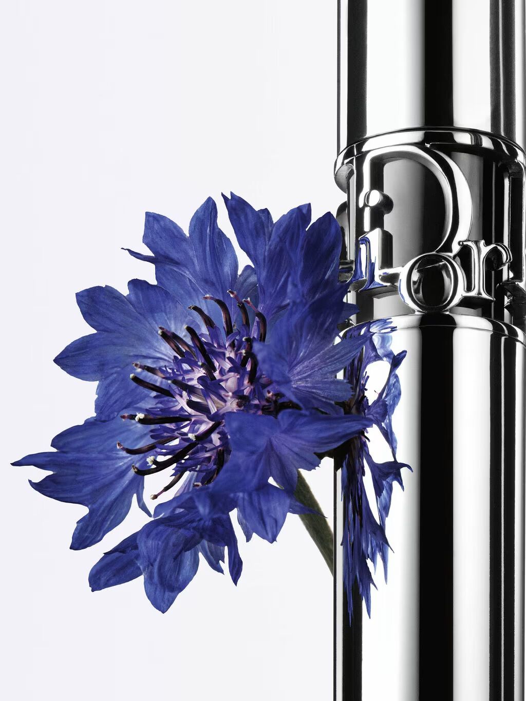 DIORSHOW The Eye Makeup Collection from DIOR | DIOR ID