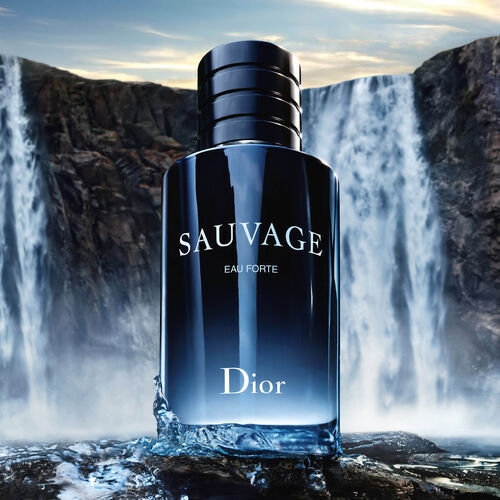 Dior Sauvage Eau de Parfum ソヴァージュ DIOR】 ソヴァージュ オードゥ パルファン - フレグランス