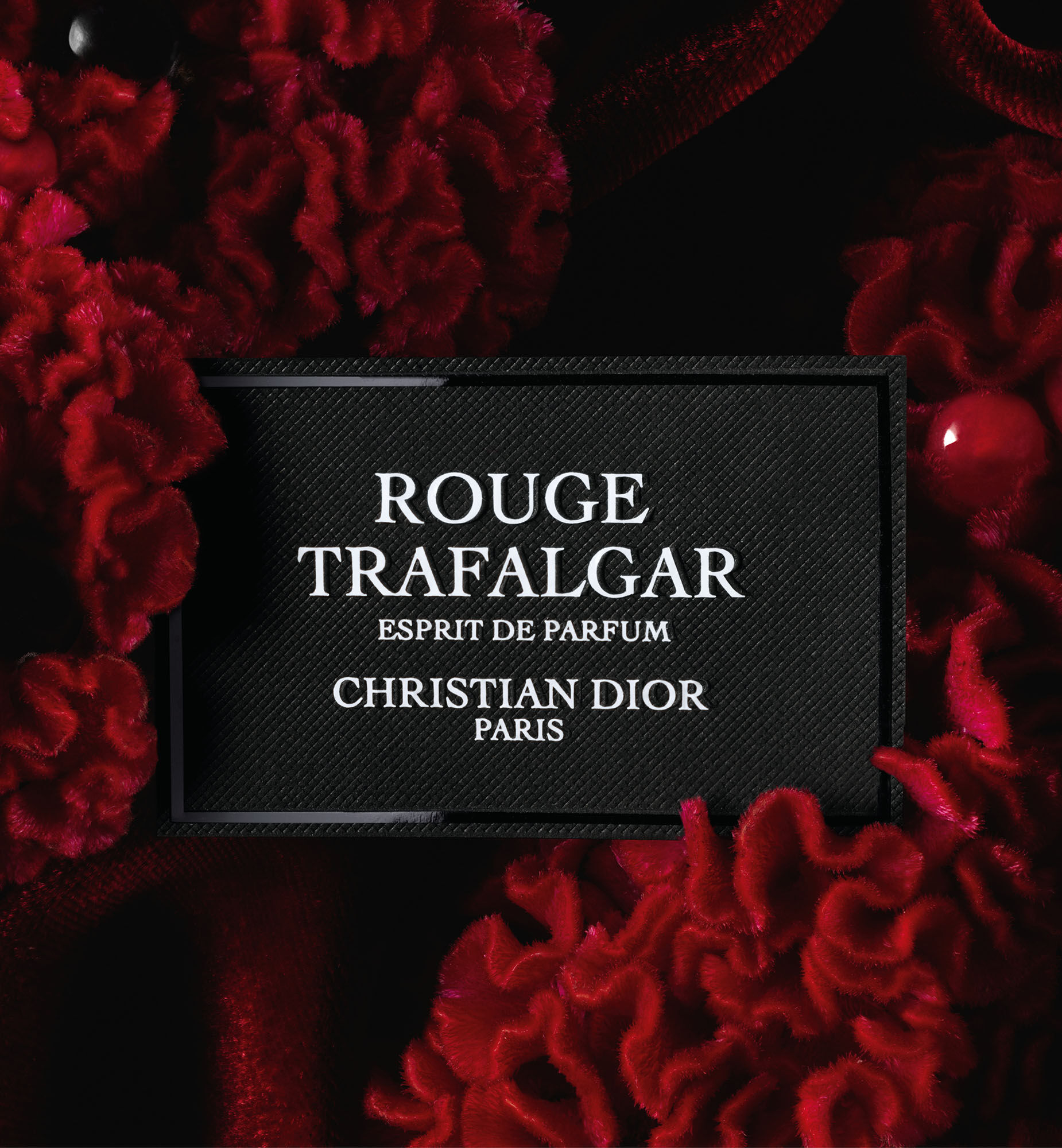 Christian Dior Rouge Trafalgar 2本セット Christian Dior Rouge Trafalgar 2本セット Christian Dior