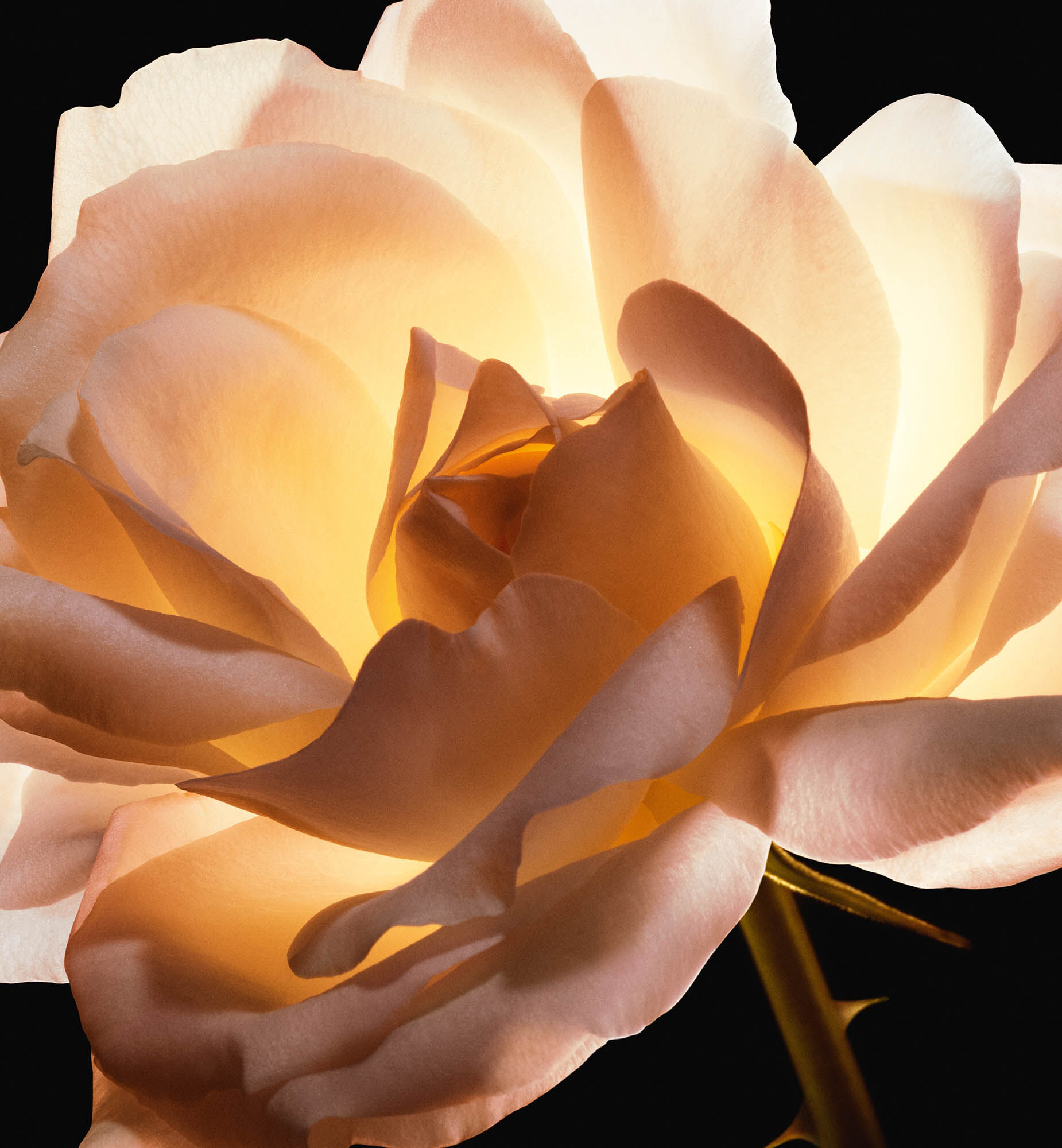 La creme texture essentielle deals