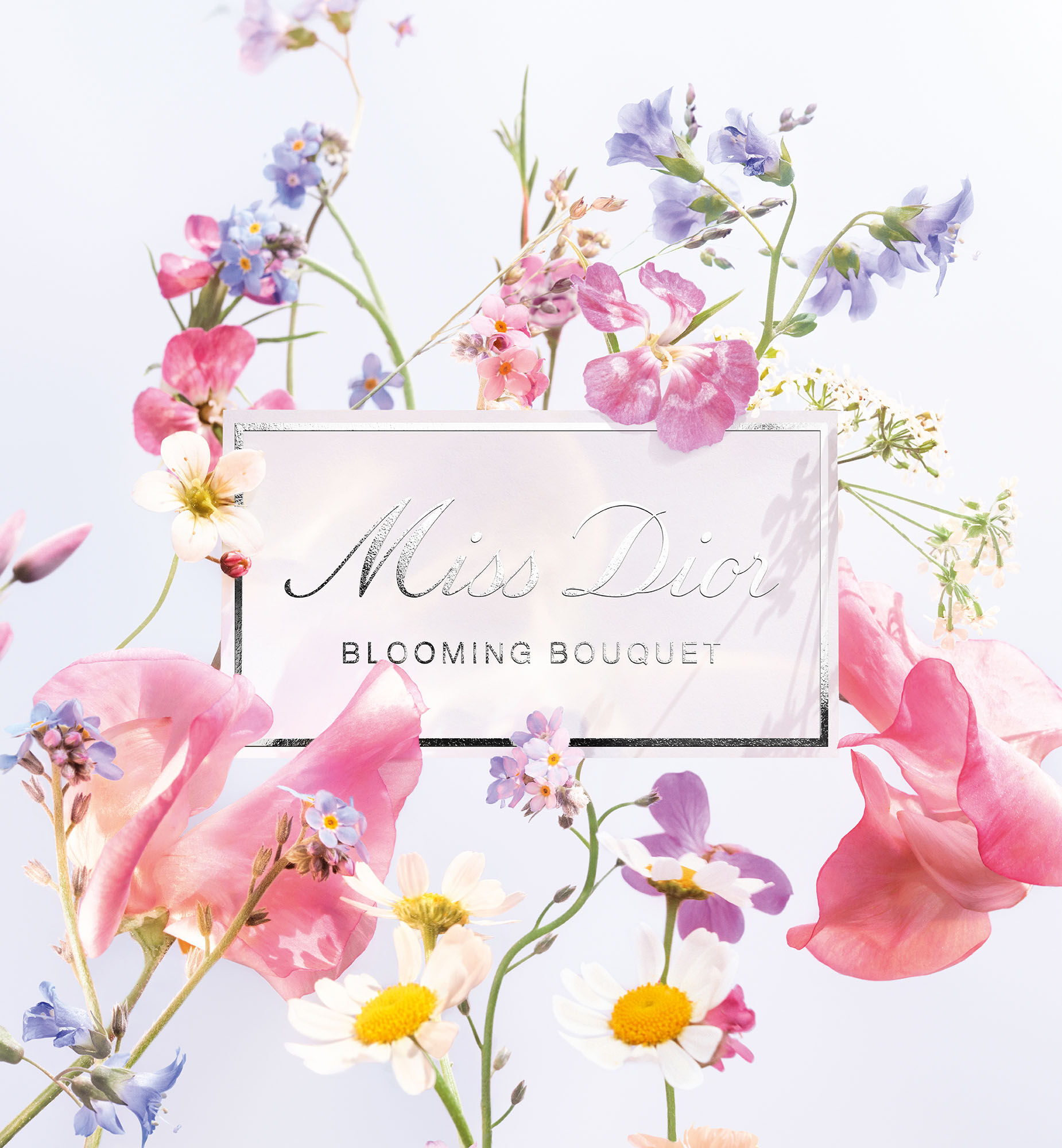 Harga miss dior blooming bouquet outlet