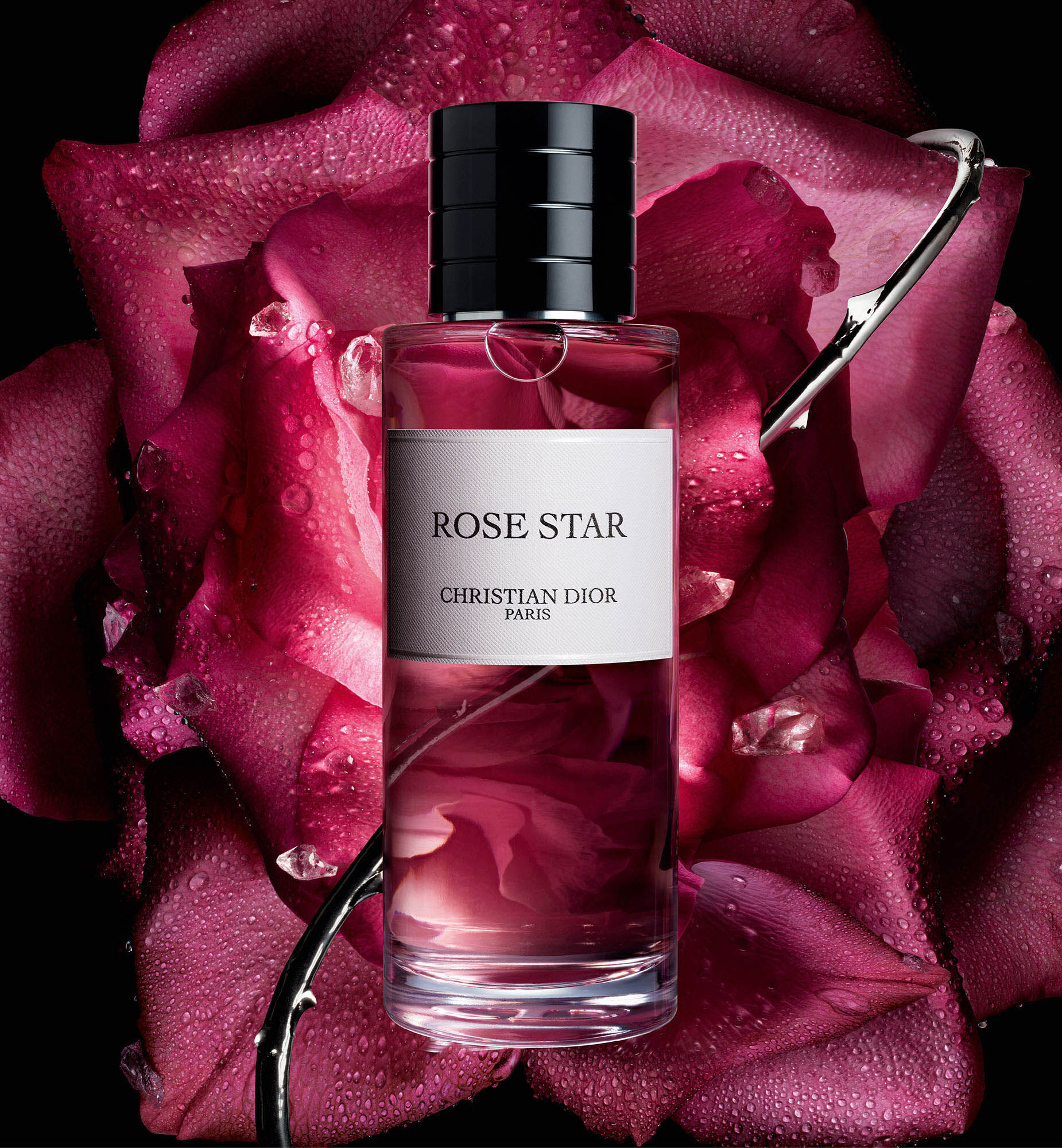 ROSE STAR 香水 CHRISTIAN DIOR Rose Star: Ambery Floral Eau de Parfum for Women and Men