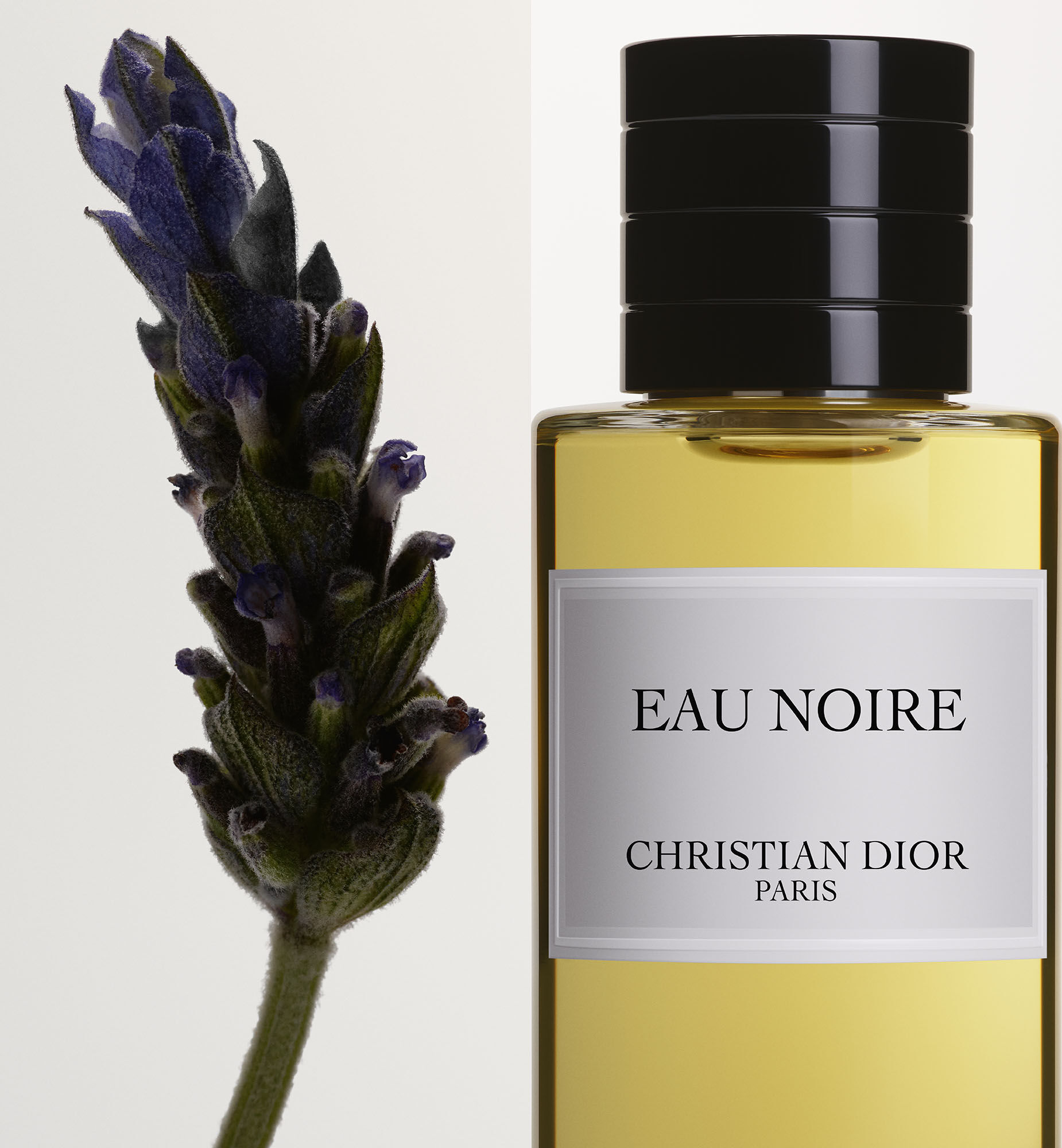 Eau Noire La Collection Privee Christian Dior Fragrance DIOR