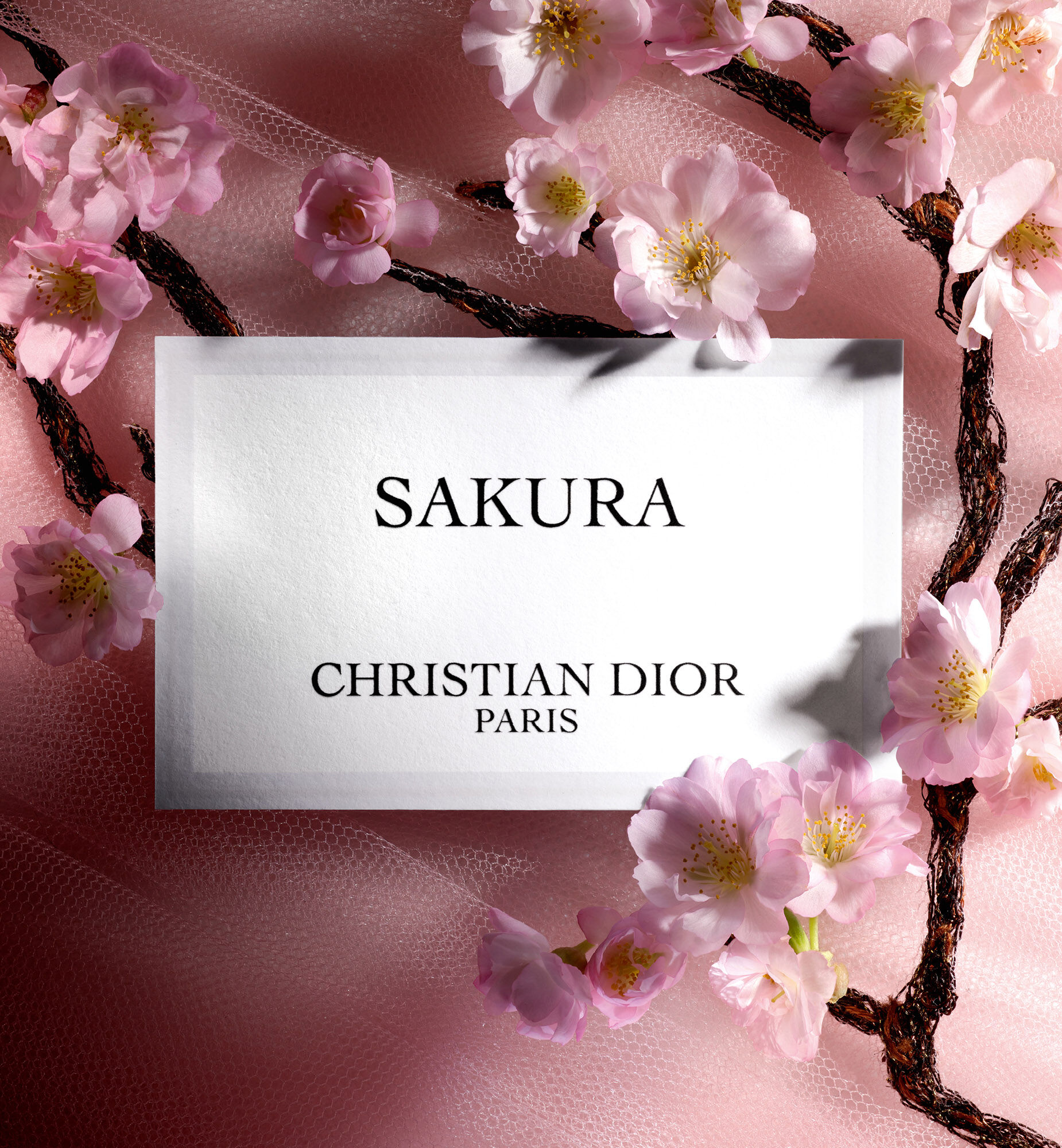 Dior 香水 5本セット IN LOVE WITH DIOR IN LOVE WITH DIOR TRAVEL COLLECTION 7.5ML EDT SPRAY X4 (NEW