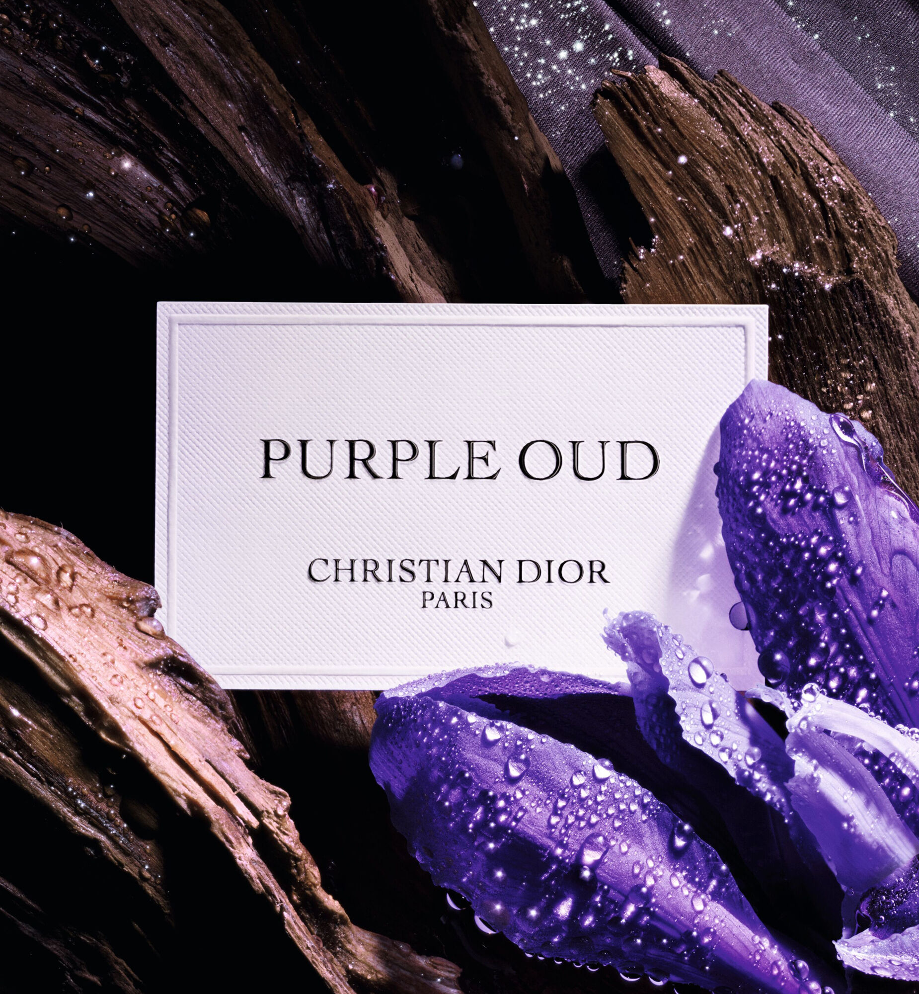 Purple Oud fragrance: the oriental fragrance with sparkling