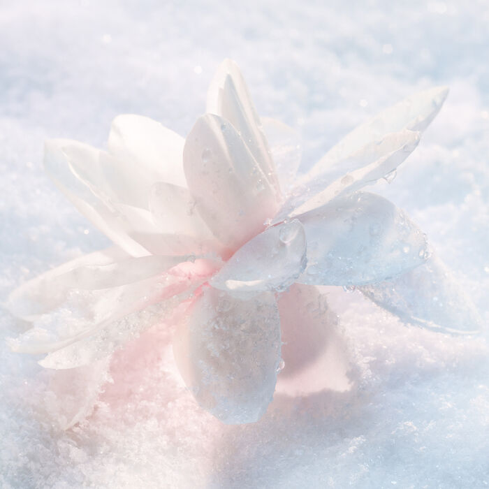 Diorsnow Essence of Light Serum image number 2