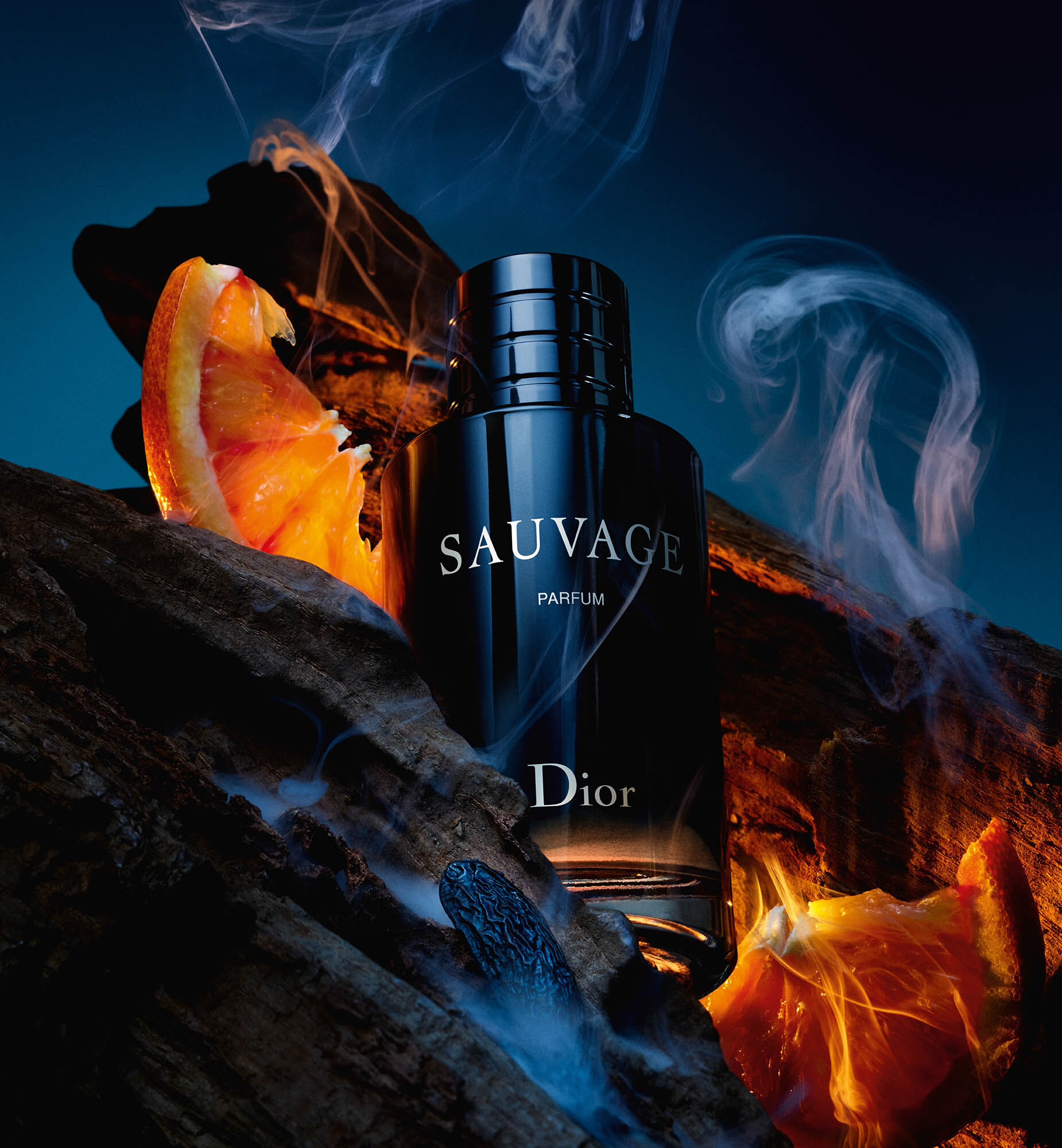 Harga sauvage dior top