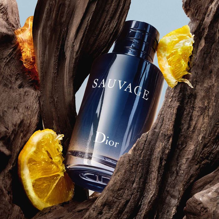 Купить CHRISTIAN DIOR SAUVAGE EAU DE TOILETTE - на Parfumer.kg c  доставкой и гарантией по выгодной цене. Элитная парфюмерия в Бишкеке.