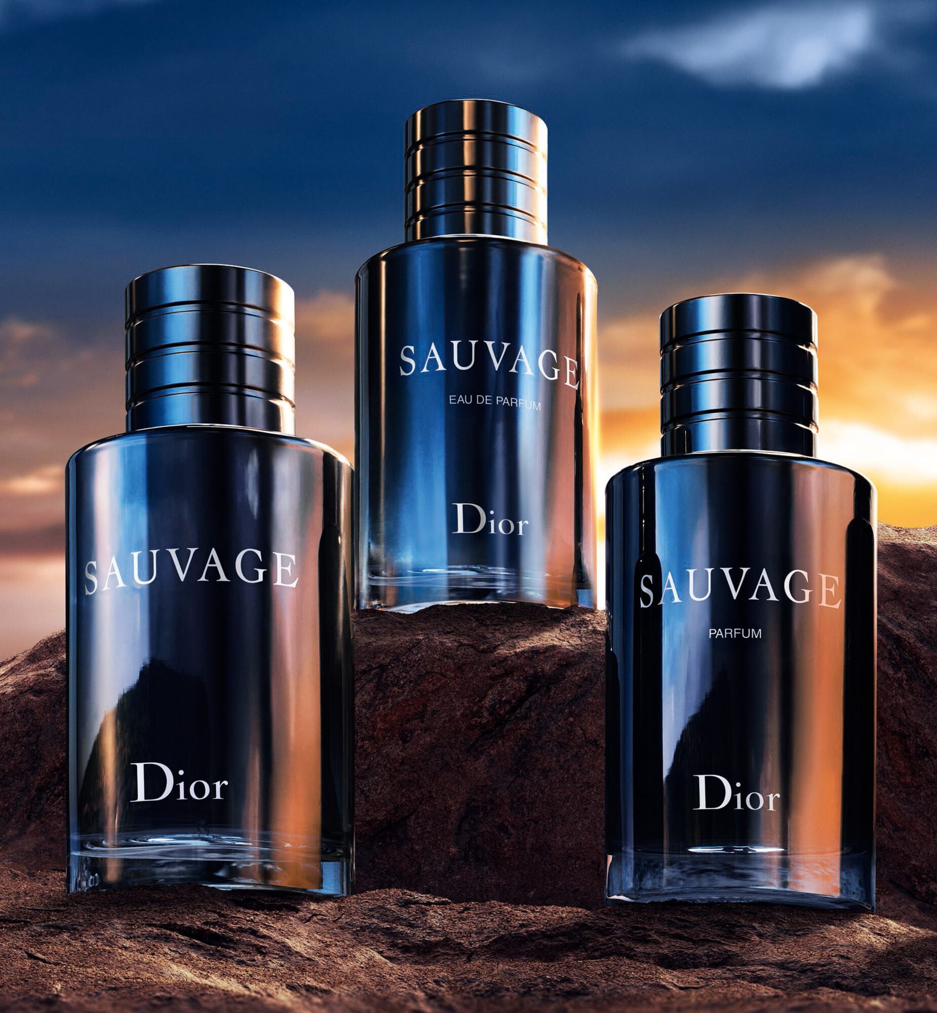 Sauvage Spray For The Wild - Limited Edition | Dior ID