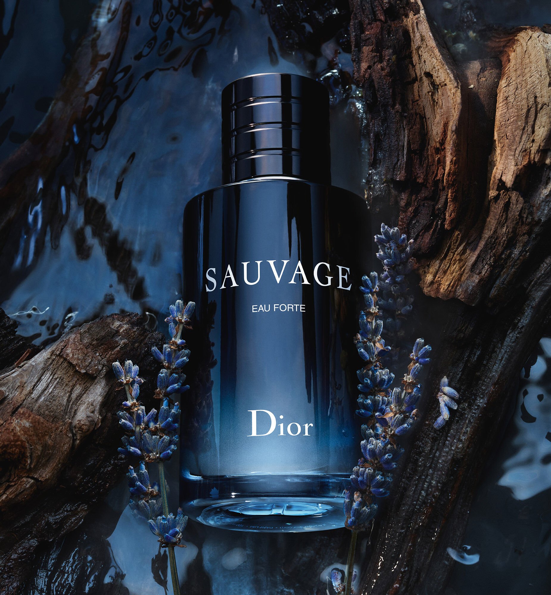 Dior Sauvage Eau Forte - Чоловічий аромат без спирту | Dior UA