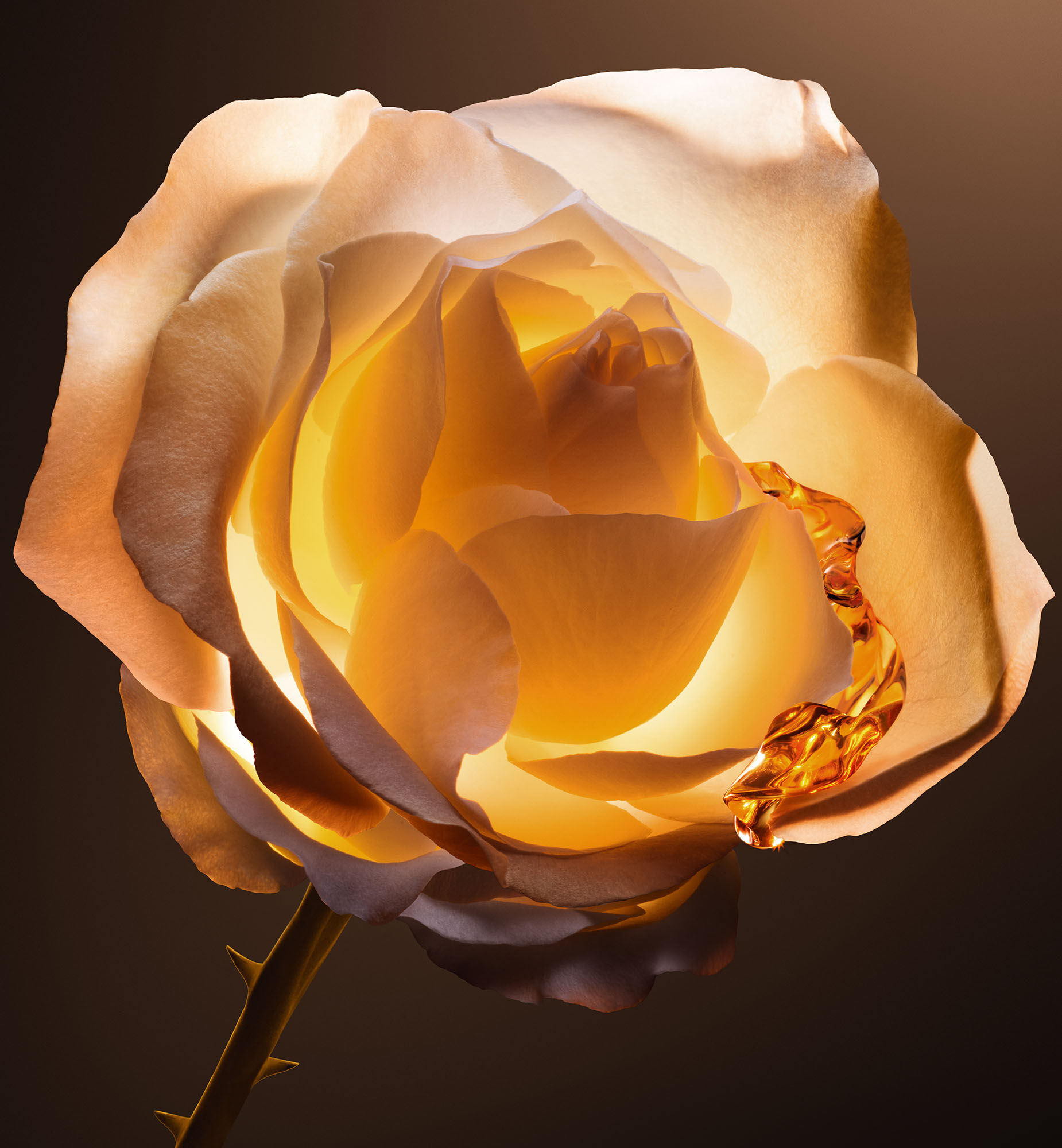 Dior Prestige Le Nectar Intégral: Ultra-Concentrated Serum