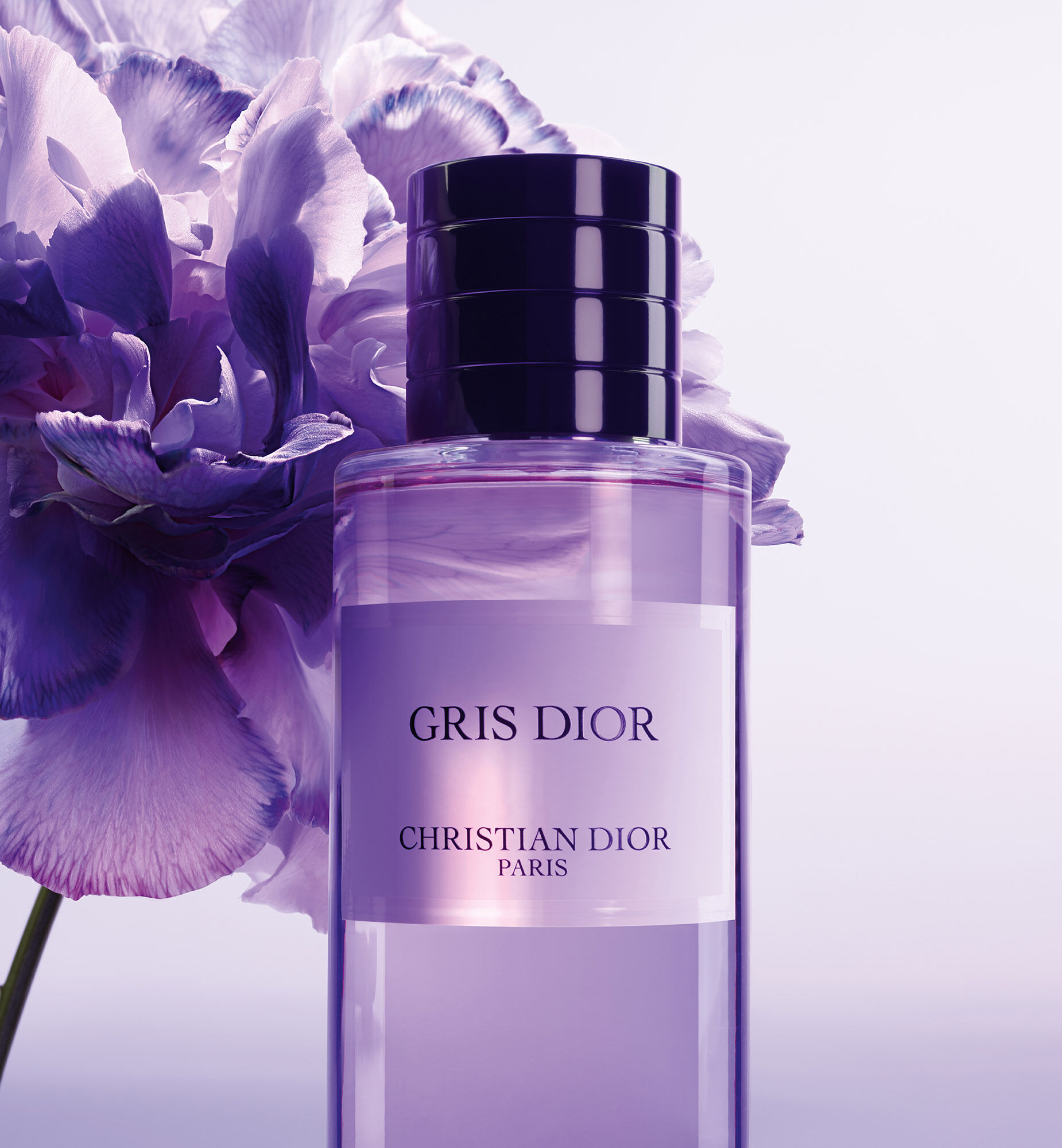 Gris dior 40ml price shop