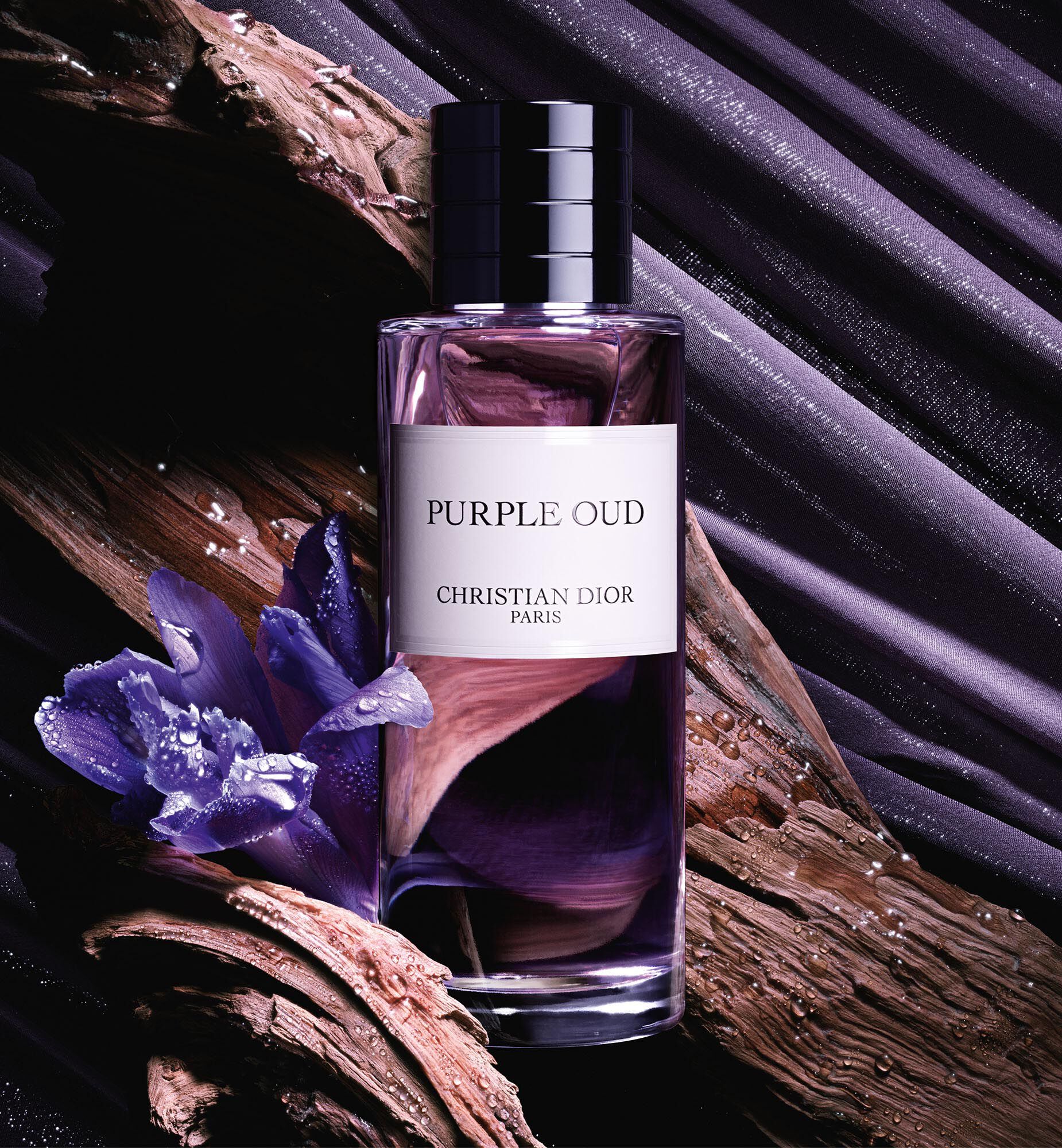 Oud purple dior outlet