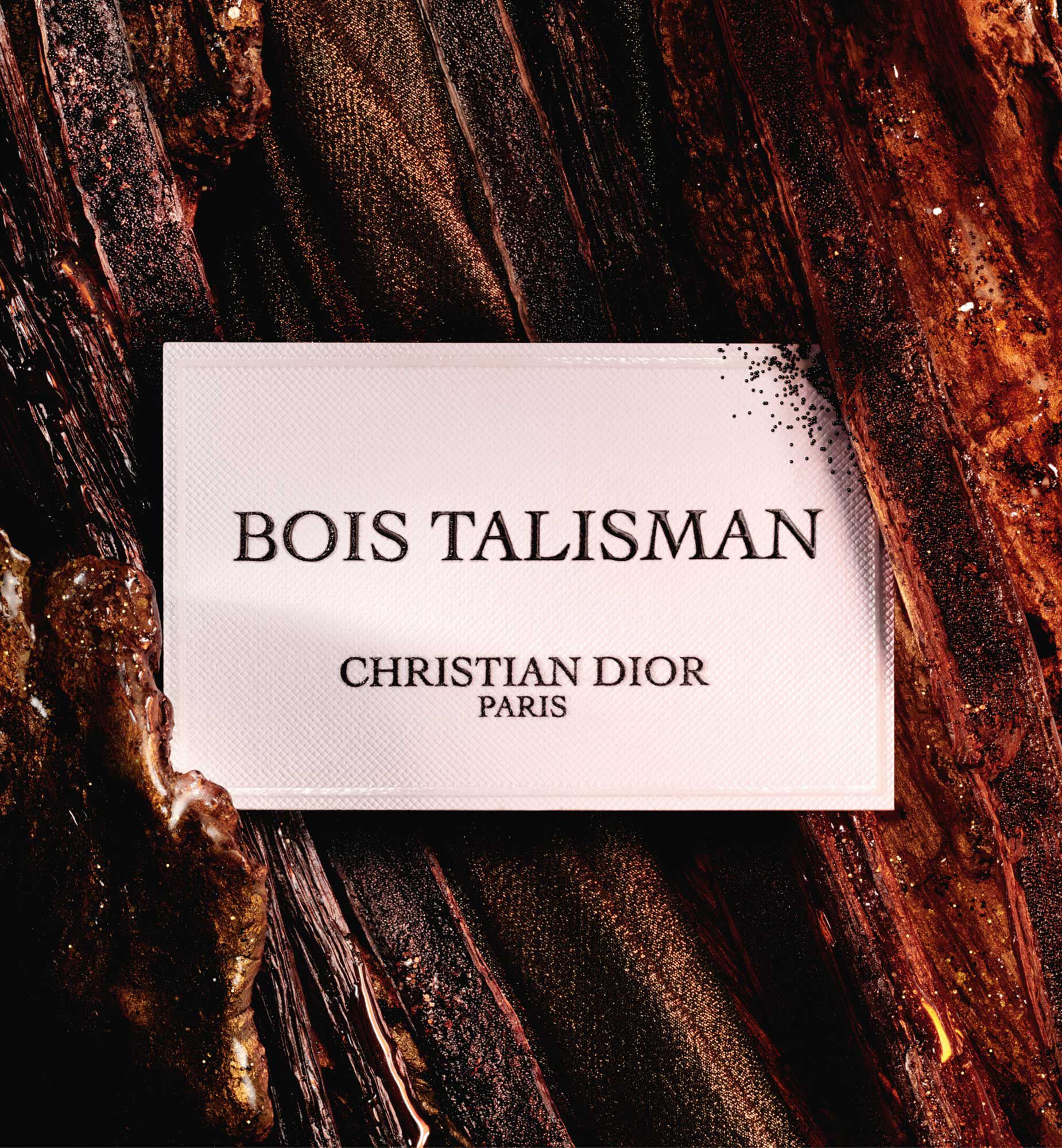 Bois Talisman Eau de Parfum: Woody & Vanilla Notes | DIOR AE