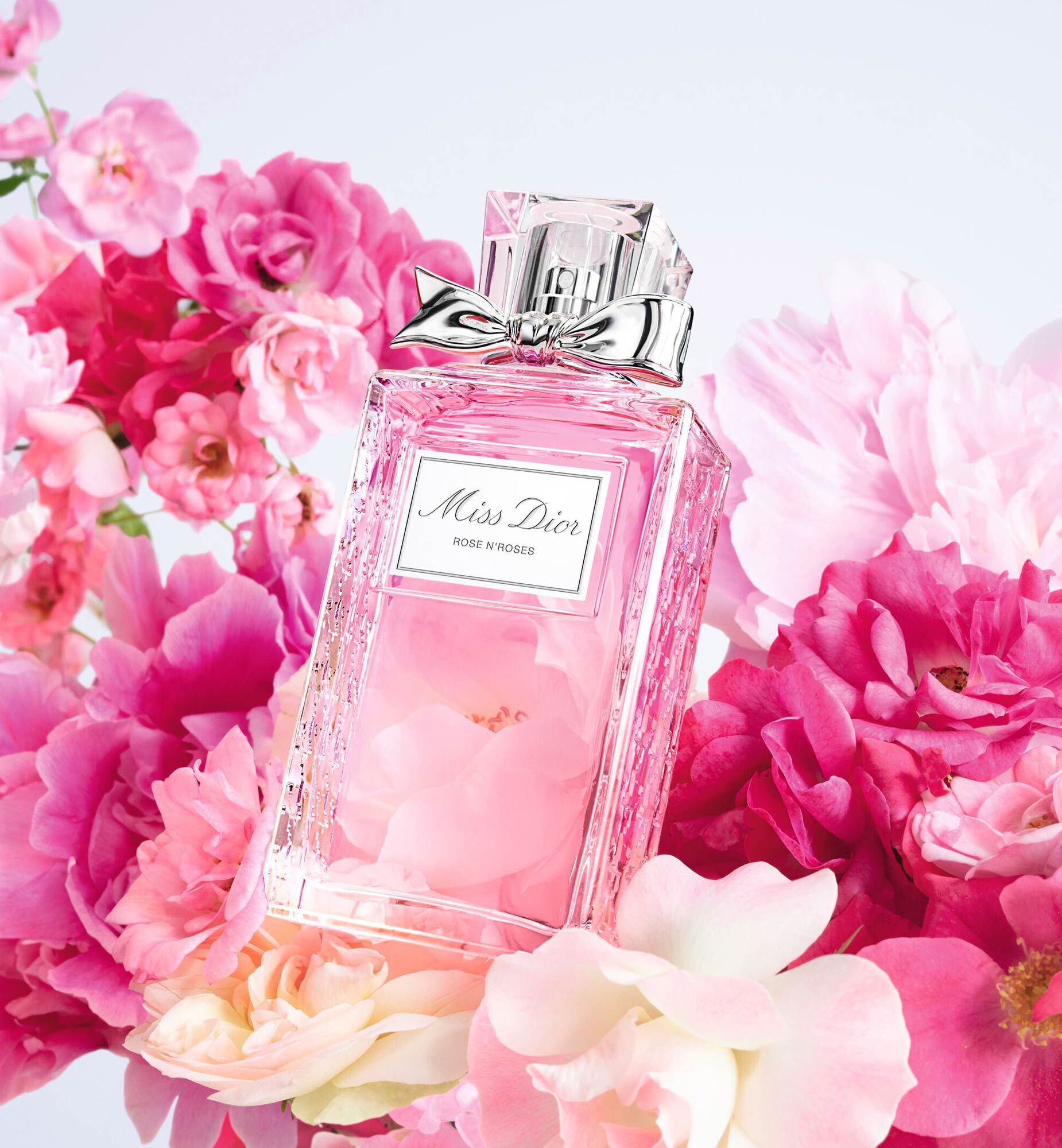 Miss dior basenotes 2025